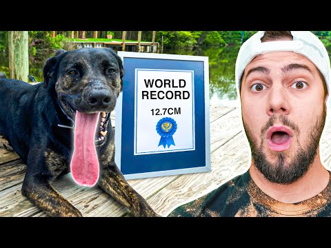 World’s Weirdest Records You Won’t Believe!