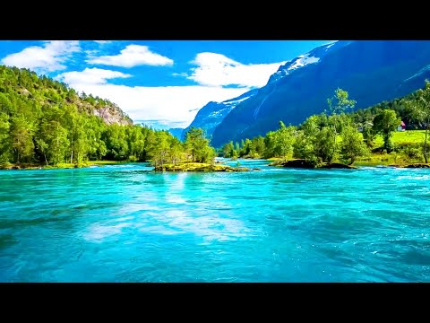 Domokos Tony - Életóda 🤩🎤 🎧♻️