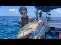 Spearfishing Hawaii But My Friends Run The Video
