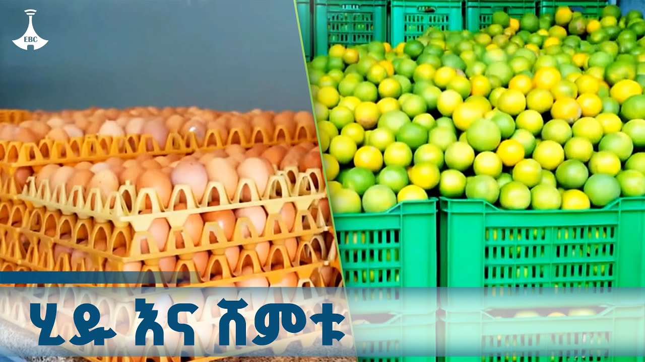 ምርቶችን በቅናሽ የሚያገኙበት  የላፍቶ ሁለገብ የገበያ ማዕከል | ከንቲባ አዳነች አቤ?