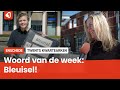 Het Twentse woord van de week: Bleuisel!