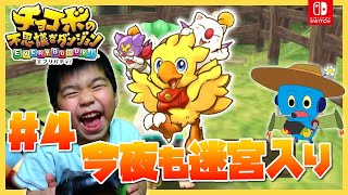4歳児ゲーム実況【チョコボの不思議なダンジョンエブリバディ】『今夜も迷宮入り』
