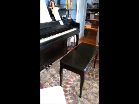 Rosie Plays the Piano