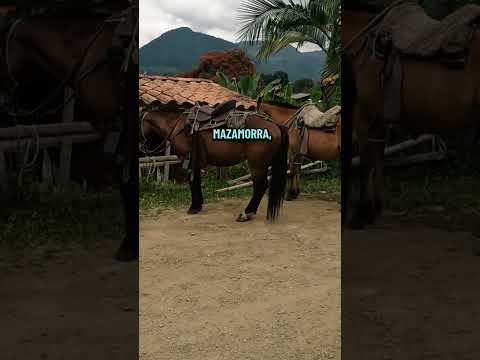 Visita este lugar #jardin #antioquia