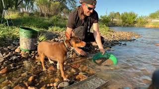 Urban Gold Prospecting - Mining for Gold in Denver!