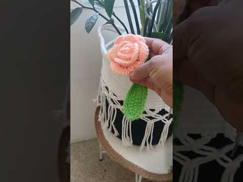 #amo#las #plants #amolasflores