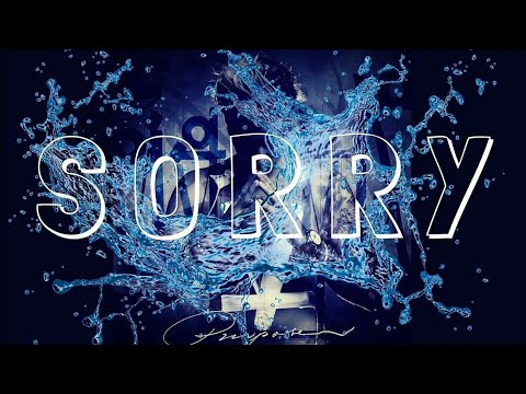 Justin Bieber _–_ Sorry (Purpose Tour Montage )