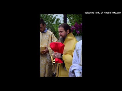 Preasfințitul Teofil      07.04.2019      Vindecarea fiului lunatic