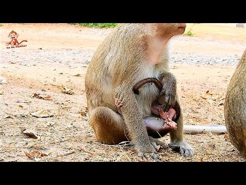 How Can Poor Tanya Breath if Bad Mom Sit on Head Baby like this?,Sorrow Tanya born with wrong Mom.