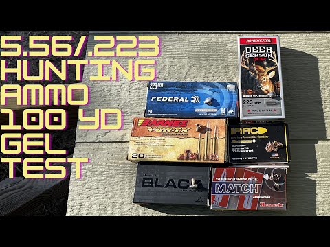 AR-15 for deer hunting. Which round is the BEST??? 100 yard gel test, 5.56 and .223!!