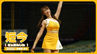 飛行機ダンス✈ 短今（Sammie）Passion Sisters 中信兄弟啦啦隊  cheerleader 치어리더 臺中洲際棒球場 2024/5/3【台湾チアTV】