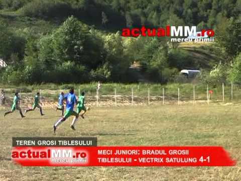 bradul grosii tiblesului   vectrix satulung meci juniori actualmm