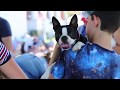 Jonesborough Days Festival