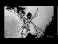 Aranha Plrata Logo In Black And White Chorded