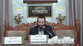 הרב אברהם זרביב | מידות ומוסר | בית הכנסת מוסאיוף (בית הכנסת מוסאיוף) - התמונה מוצגת ישירות מתוך אתר האינטרנט יוטיוב. זכויות היוצרים בתמונה שייכות ליוצרה. קישור קרדיט למקור התוכן נמצא בתוך דף הסרטון