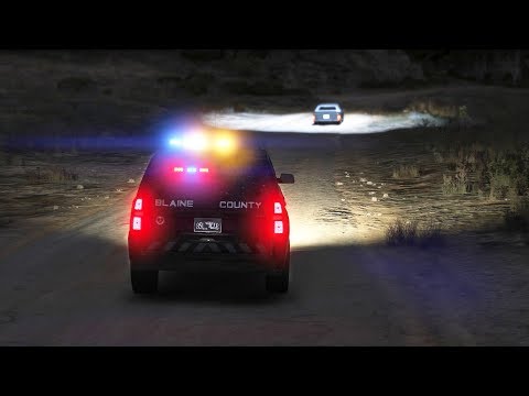 LSPDFR - Day 991 - Partner Night Shift Patrol