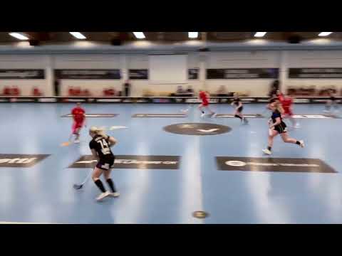 T18: EräViikingit - FBC Turku 3.2.2024 maalikooste