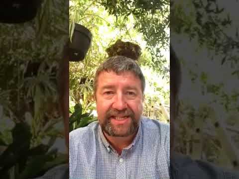 Non Omnis Moriar (I shall not wholly die)