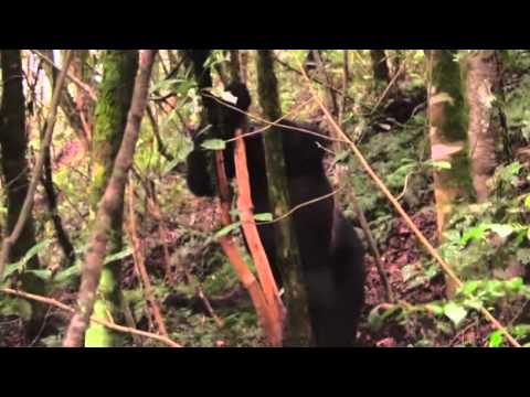 Abenteuer Afrika ( Doku )