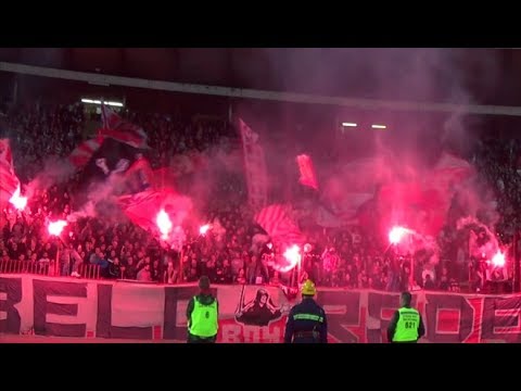 Delije - NOVA PESMA - ŽURKA | Sever je tajne sve razotkrio, navijanje u mali džep je stavio!