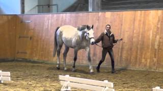 Video von La Boheme FF