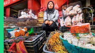 India&#39;s SCARIEST Meat Market!! Rats, Cats, Dogs and More in Nagaland!!