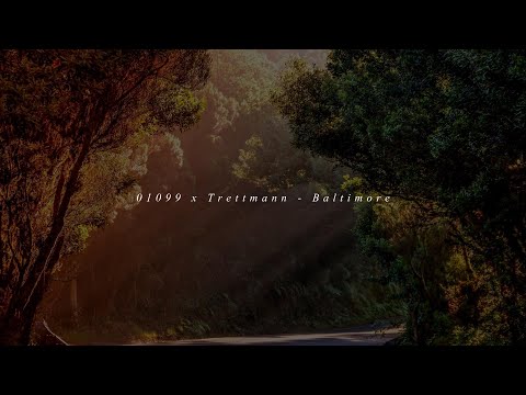 01099 x Trettmann - Baltimore Lyrics