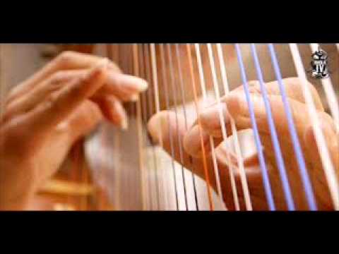 FG Pajarillo - Nelson Morales