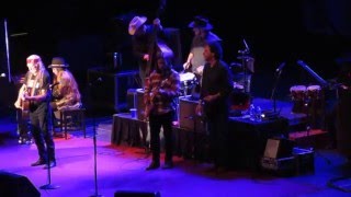 Willie Nelson &quot;Summertime&quot; 2016