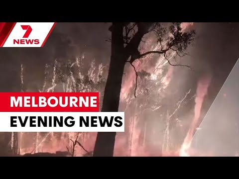 Unprecedented 'Day of Danger' in Victoria; Police response to beach violence | 7NEWS Melbourne