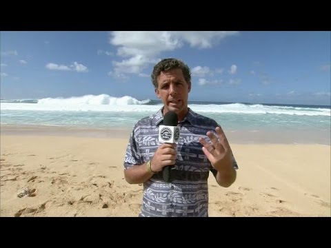 Comparing Barrels: Toledo and Ho