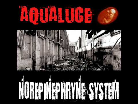 Aqualuce - Norepinephrine System