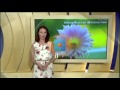 OLD Weather Intro Estonia ETV ERR