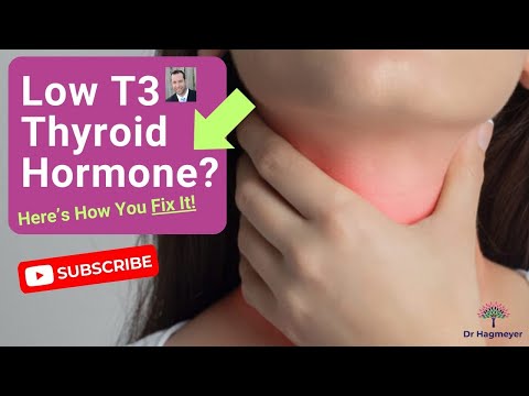 💊How You START Fixing LOW T3 || WHY T3 Is Not The Answer‼️ 🩺Dr Richard Hagmeyer