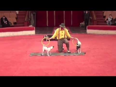 Stars of Beijing's Circus - The world greatest circus.