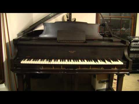 Popular Hits of the Day  Fox-Trot Medley No. 30