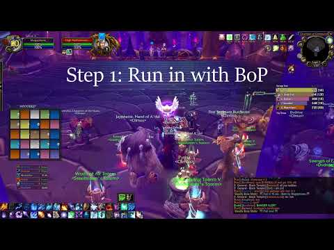 SIMPLE Illidari Council Mage Tanking