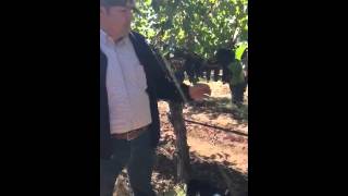 Watch Winemaker Gustavo Gonzalez discuss Cabernet in Garvey Home Ranch