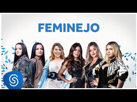 Feminejo melhores clips 2019