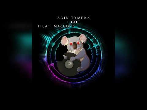 Acid Tymekk - I Got ft. Małgorzata Wójcicka [] Melodic House & Techno [] || Hungry Koala Records ||