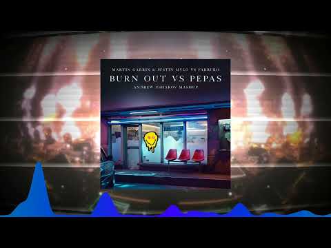 Martin Garrix & Justin Mylo vs Farruko - Burn Out vs Pepas (Andrew Ushakov Mashup)
