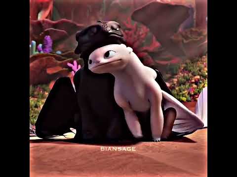 Night fury & Light fury edit_3