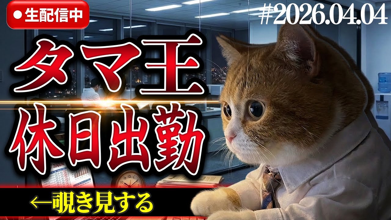 会社猫タマ王の休日出勤