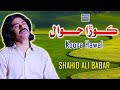 Koora Hawal Shahid Ali Babar Official Music Video Arif Enterprises