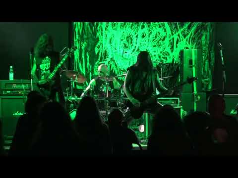 Throneum - live at Total War Fest 29.07.2017 Hungary