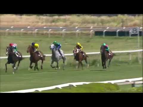 Full Drago CarlodAlessio