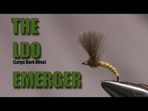 The LDo (Large Dark Olive) Emerger