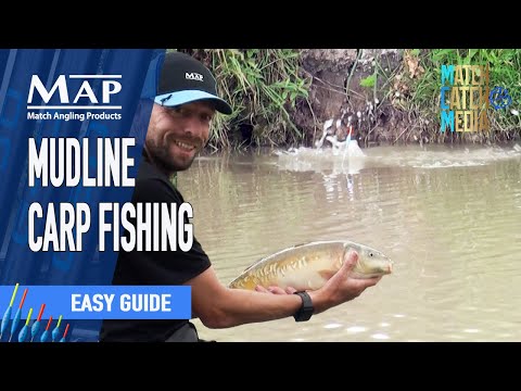 Karpfenangeln im Mudline-Gebiet – Zielen Sie auf dieses flache Wasser | Wettkampfangeln | Match C...