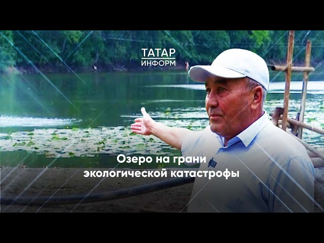 Нижнекамцы бьют тревогу: озеро Подборное практически полностью высохло