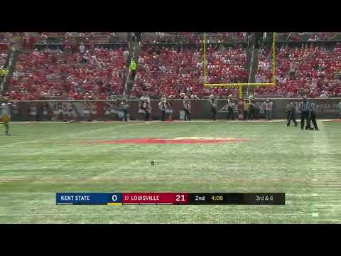 Squirrel scores a touchdown for the team